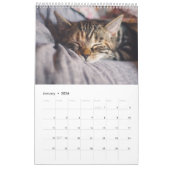 Kalender 2025 Cat Lover Katzen (Jan 2026)