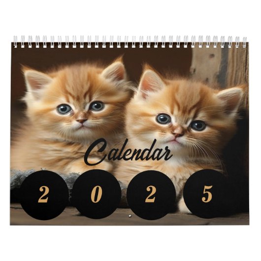 Kalender 2025 voor kattenliefhebbers -  jaar (Hoes)