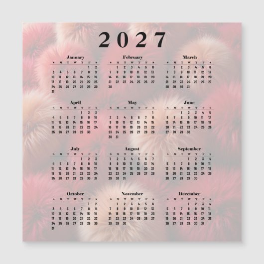 Kalender 2027 Fluffy Balls (Voorkant)