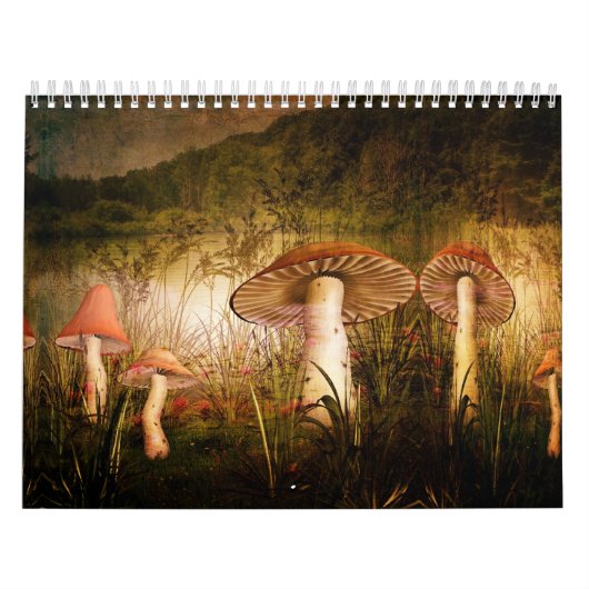 Kalender-A aanraking van Magisch Kalender (Hoes)