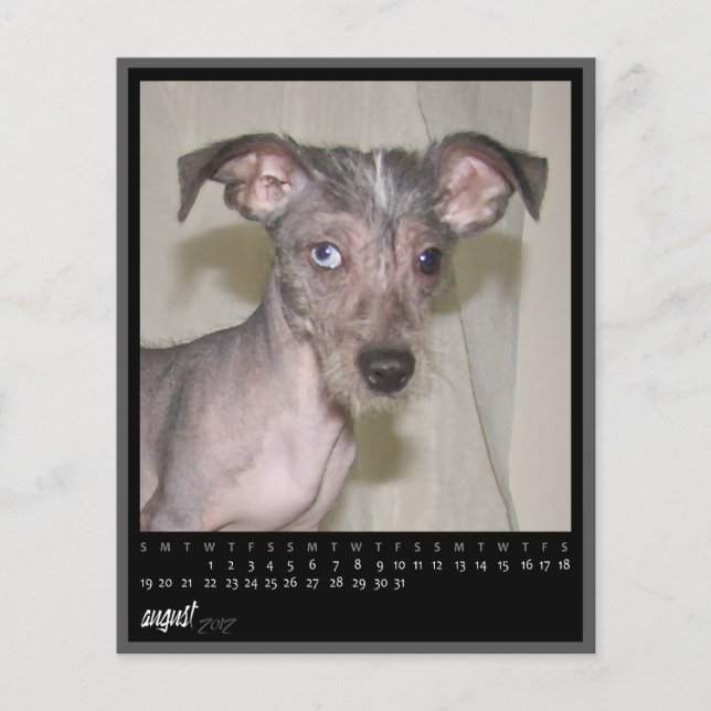 kalender augustus 2012 (Voorkant)