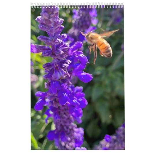 Kalender bijen vlinders (Hoes)