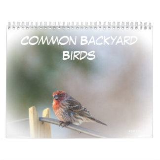 Kalender - Common Backyard Birds