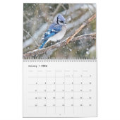 Kalender - Common Backyard Birds (Jan 2026)