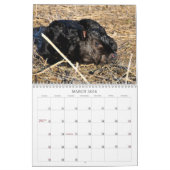Kalender Cowtown Living 2013 (Mar 2026)