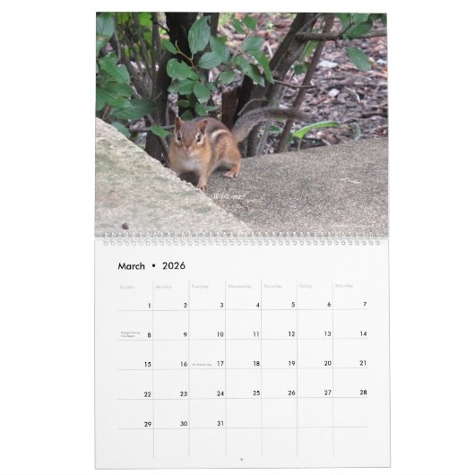 Kalender Critters 2025 (Mar 2026)