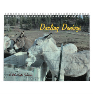 kalender de van 24 maanden van de Ezel van de