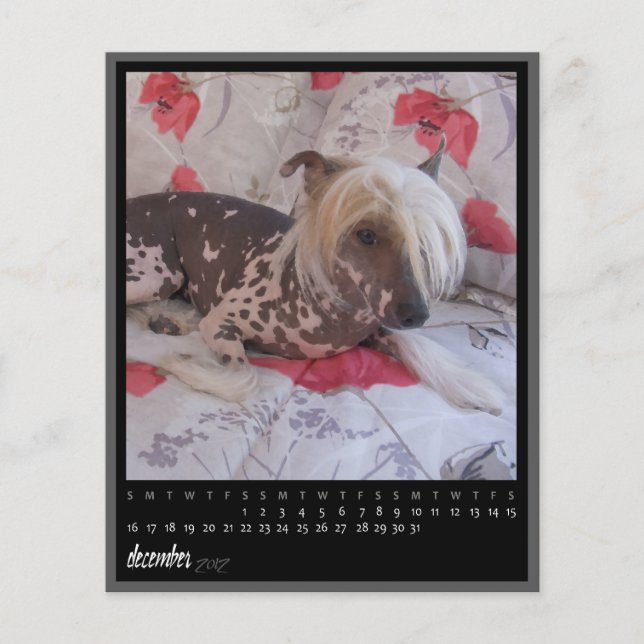 kalender december 2012 (Voorkant)