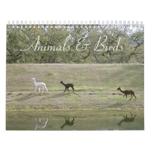 Kalender - Dieren en vogels (Hoes)