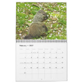 Kalender - Eekhoorns Chipmunks Groundhogs (Feb 2027)