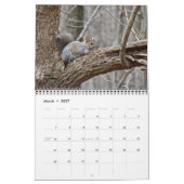 Kalender - Eekhoorns Chipmunks Groundhogs (Mar 2027)