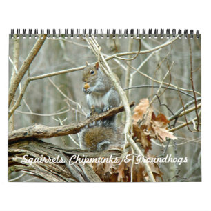 Kalender - Eekhoorns Chipmunks Groundhogs