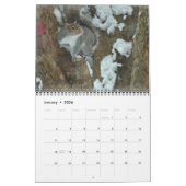 Kalender - Eekhoorns Chipmunks Groundhogs (Jan 2026)