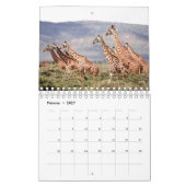 Kalender-Giraffe Kalender (Feb 2027)