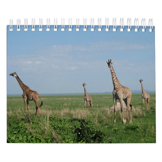Kalender-Giraffe Kalender (Hoes)