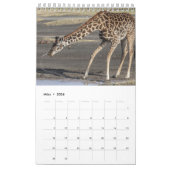 Kalender-Giraffen Kalender (Mar 2026)