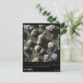 kalender januari 2010 briefkaart (Staand voorkant)