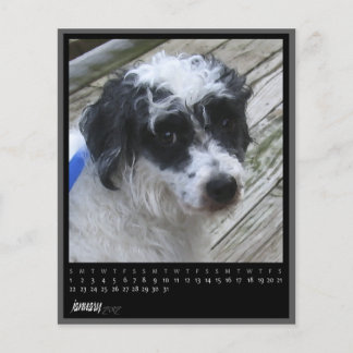 kalender januari 2012