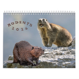 kalender knaagdieren