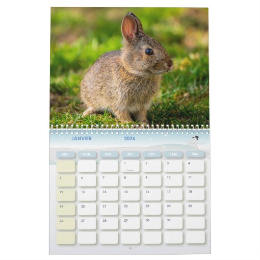 Kalender Lapin, Calendar Rabbit Hares (Jan 2026)