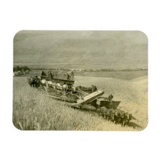 Kalender Magneet