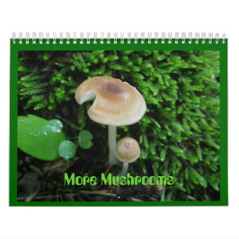 Kalender - Meer Paddenstoelen