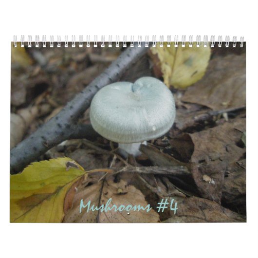 Kalender - Meer prachtige paddenstoelen #4 (Hoes)