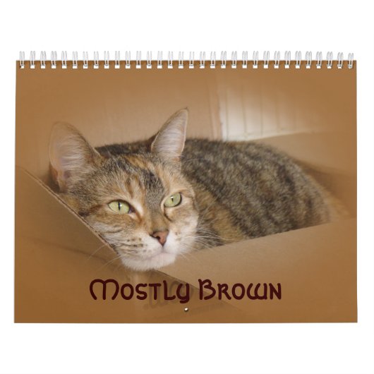 Kalender - Meestal bruin (Hoes)