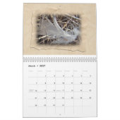 Kalender - Meestal bruin (Mar 2027)