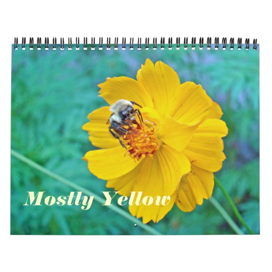 Kalender - meestal geel (Hoes)