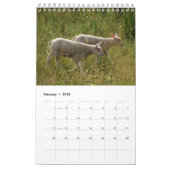 Kalender met afbeeldingen van de natuur (Feb 2026)