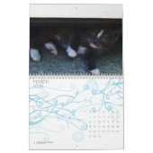 kalender met CUTE KATTEN (Mar 2026)