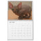 Kalender met een schattig sphynx kittens
