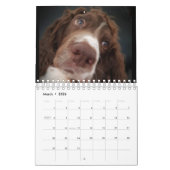 Kalender met spaniel (Mar 2026)