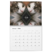 kalender met speciale momenten van iCatz (Jan 2026)