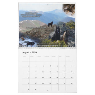 kalender met True Knight Tervurens puppy reviewen