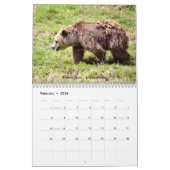 kalender met verschillende beren (Feb 2026)