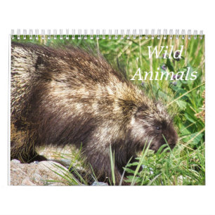 Kalender met Wilde Dieren