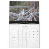 Kalender Mooie Vogels #1 (Mar 2027)