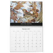 Kalender Mooie Vogels #1 (Jan 2027)