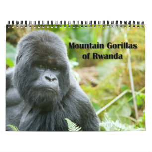Kalender - Mountain Gorillas uit Rwanda