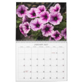 Kalender - Petunias (Jan 2027)