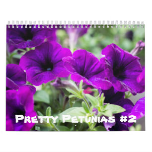 Kalender - Petunias #2