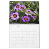 Kalender - Petunias #2 (Jan 2027)