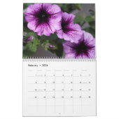 Kalender -  Petunias #4 (Feb 2026)