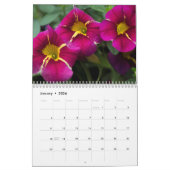 Kalender -  Petunias #4 (Jan 2026)