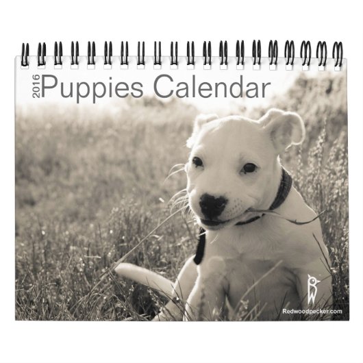 Kalender Puppies 2016 (Hoes)