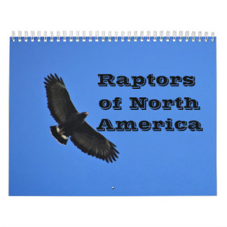 Kalender - Rapporteurs (roofvogels) van Noord-Amer