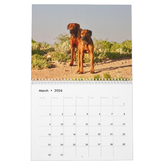 Kalender Rhodesian Ridgeback - Liondog - 15 Monate (Mar 2026)