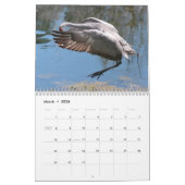 Kalender Sandhill Cranes 2017 (Mar 2026)